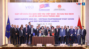 Việt Nam trở thành điểm đến hấp dẫn cho đầu tư trực tiếp nước ngoài (25/11/2021)