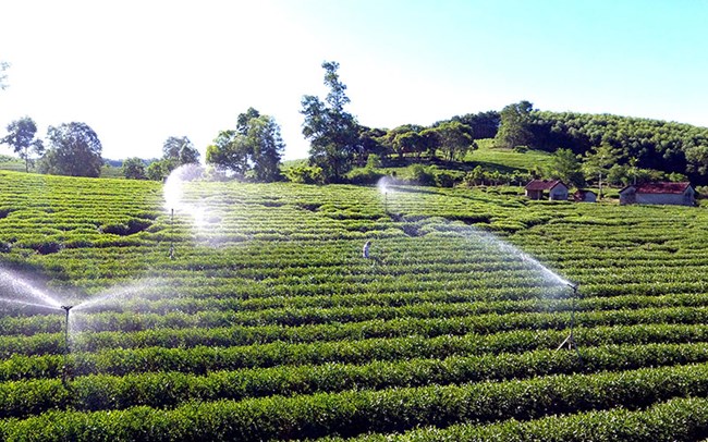 Giữ nhịp tăng trưởng trong đại dịch: Nông nghiệp đóng góp quan trọng cho
kinh tế và an sinh 2021 (15/12/2021)