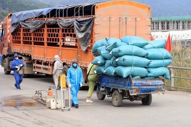 THỜI SỰ 6H SÁNG 17/2/2021: UBND tỉnh Hải Dương đề nghị các địa phương lân cận tạo điều kiện lưu thông hàng hóa