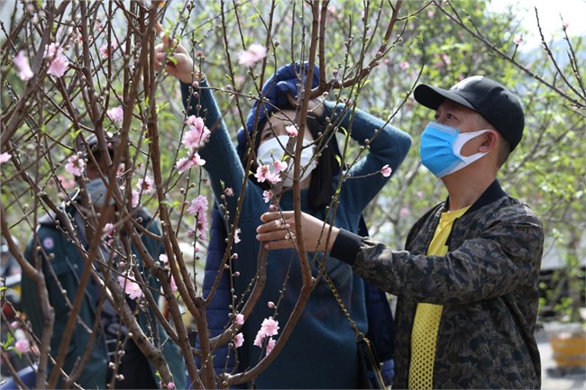 Chợ hoa Hạ Long ảm đạm vì dịch Covid-19 (09/02/2021)