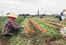 Phiên họp Hội đồng Bảo an ghi nhận sự thay đổi thái độ của Mỹ trong các vấn đề quốc tế (18/02/2021)