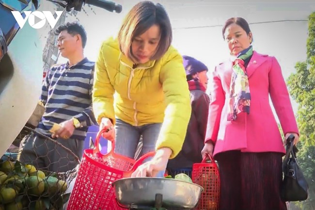 Dùng làn đi chợ mỗi ngày, phong trào thiết thực do Hội phụ nữ tỉnh Lào Cai tổ chức (t18/03/2021)