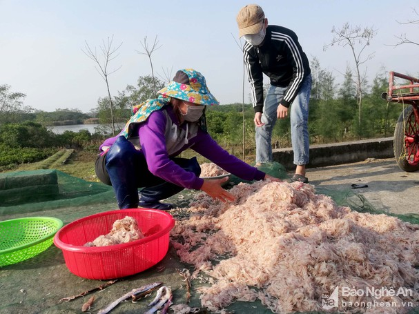 THỜI SỰ 21H30 ĐÊM 04/03/2021: Ngư dân miền Trung liên tục trúng lộc biển đầu năm