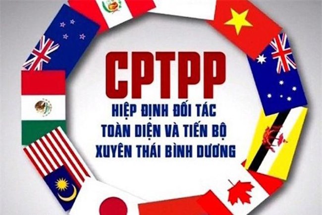 Hai năm thực thi CPTPP - Lợi ích thực tế và tiềm năng chưa được khai phá (08/04/2021)