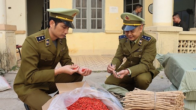 Lạng Sơn: Thu giữ gần 4 tạ  thuốc bắc nhập lậu, gas giả, kém chất lượng (15/04/2021)