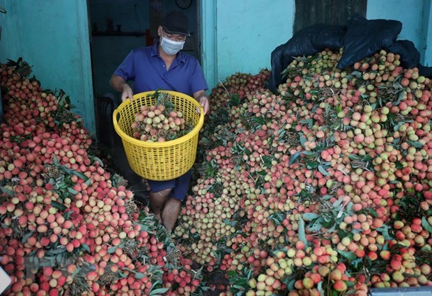 Trong tháng 6 sẽ có các mô hình tiêu thụ nông sản đảm bảo an toàn dịch bệnh (31/5/2021)