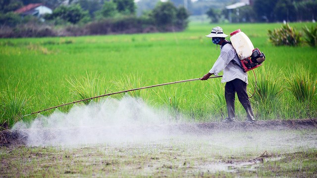 Phun thuốc trừ sâu thuê, nghề nguy hiểm (10/05/2021)