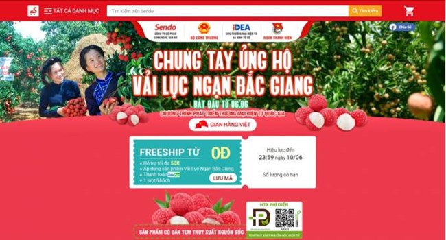 Các sàn thương mại điện tử thúc đẩy tiêu thụ nông sản ( 08/06/2021)