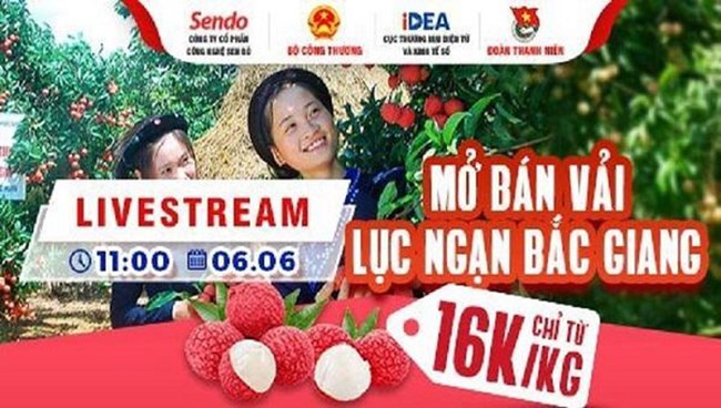 Nông dân Bắc Giang Livestream bán vải thiều: Giải pháp hỗ trợ thiết thực từ các Sàn thương mại điện tử (7/6/2021)