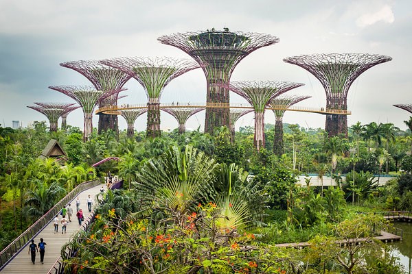 “Thành phố trong vườn”- Hành trình phủ xanh của các đô thị lớn trên thế giới (30/07/2021)