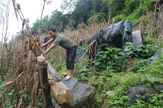 Lào Cai: 400 hộ dân đang trong vùng nguy hiểm (6/7/2021)