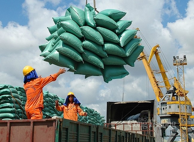 Cơ hội gia tăng xuất nhập khẩu vào thị trường các nước Châu Phi nói tiếng Pháp