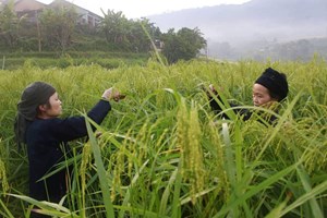 Bắc Kạn: Phát huy vai trò của khoa học công nghệ trong phát triển nông nghiệp (18/01/2022)