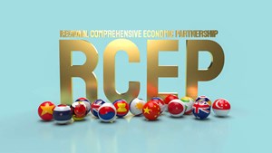 Hiệp định RCEP: Cơ hội thúc đẩy thương mại và đầu tư. (11/01/2022)