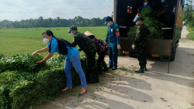 TP.HCM kêu gọi thực hiện chương trình “Tết nghĩa tình- Xuân Nhâm Dần 2022” cho 3.000 hộ nông dân (06/0/2022)