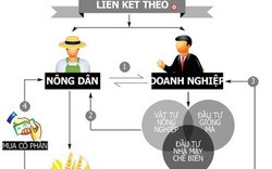 Nông dân thời đại mới cần doanh nghiệp đồng hành ( 8/01/2022)