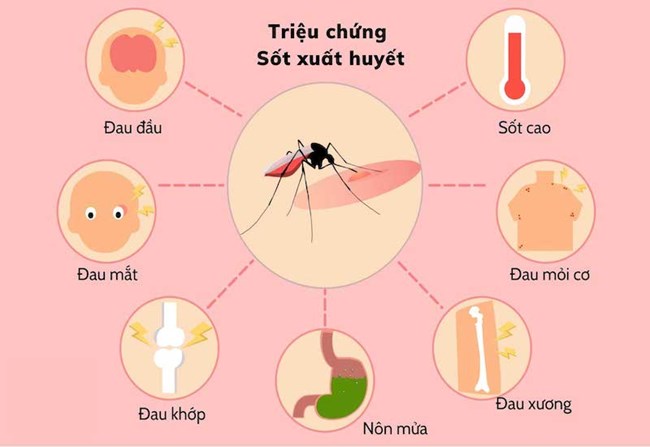 Giảm số ca nặng và tử vong do sốt xuất huyết bằng cách nào? (22/10/2022)