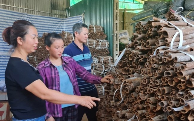 Gặp gỡ những nông dân thi đua vượt khó, làm giàu tại tỉnh Yên Bái (25/10/2022)