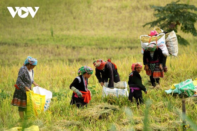 Việt Nam ưu tiên tăng trưởng kinh tế gắn liền với xoá đói giảm nghèo (17/10/2022)