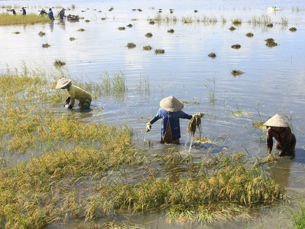 THỜI SỰ 6H SÁNG 27/10/2022: Kỳ triều cường cuối tháng 10 này có thể ảnh hưởng đến sản xuất nông nghiệp, các tỉnh, thành phố khu vực Đồng bằng sông Cửu Long 