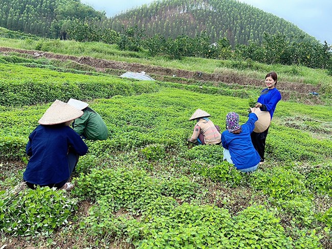 Kỷ niệm 92 năm ngày thành lập: Hội LHPN Việt Nam hỗ trợ phụ nữ khởi nghiệp thành công (18/10/2022)