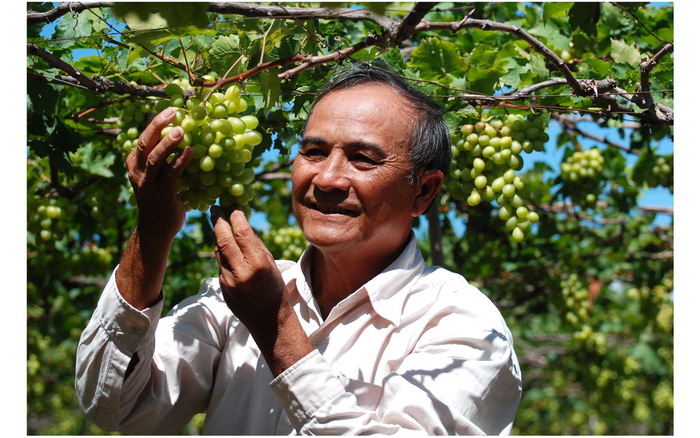 Nguyễn Văn Mọi và hành trình để “đất cằn nở hoa” (30/10/2022)