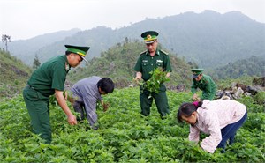 Bộ đội biên phòng giúp dân vùng biên phát triển kinh tế (19/10/2022)