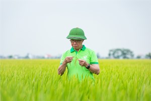 Anh hùng lao động, doanh nhân Trần Mạnh Báo: Người ươm hạt cho những mùa vàng bội thu (14/10/2022)