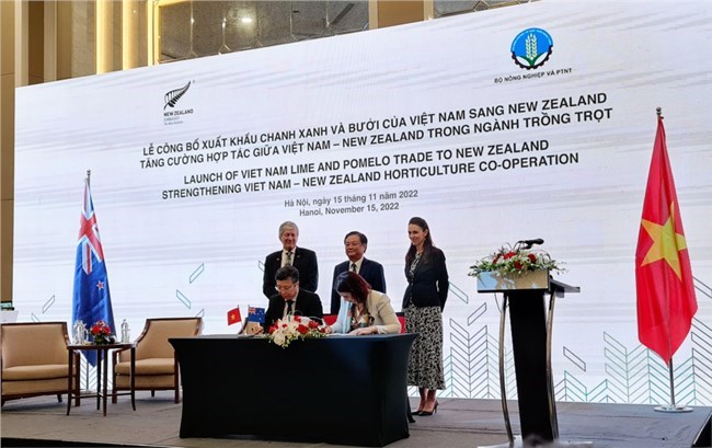 Việt Nam đạt thỏa thuận xuất khẩu quả chanh và bưởi sang New Zealand (15/11/2022)
