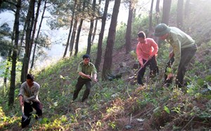 Chủ động phòng chống cháy rừng mùa khô ở huyện vùng cao Yên Bái (09/11/2022)