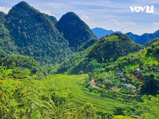 Hoàn thiện các chính sách bảo vệ và phát triển rừng ở vùng đồng bào dân tộc thiểu số (30/11/2022)