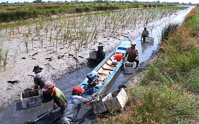 Những mô hình thích ứng với biến đổi khí hậu tại vùng cửa sông ven biển (01/12/2022)