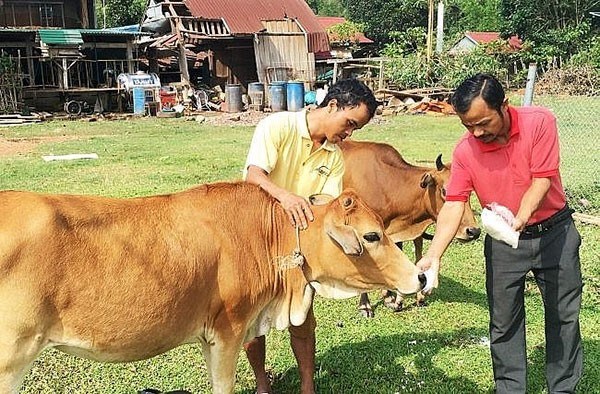 Nghệ An: Người dân vùng biên thoát nghèo nhờ vốn vay của nhà nước(6/12/2022)