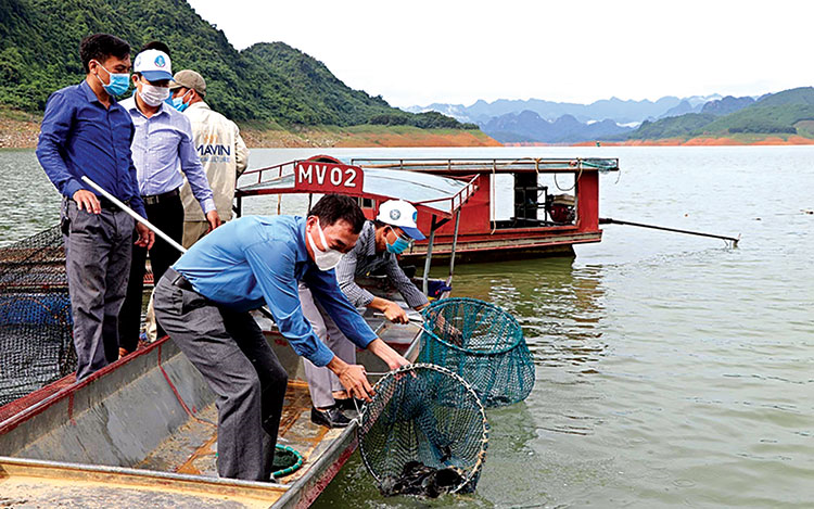 Thanh Hóa thực thi Luật thủy sản 2017 (13/12/2022)