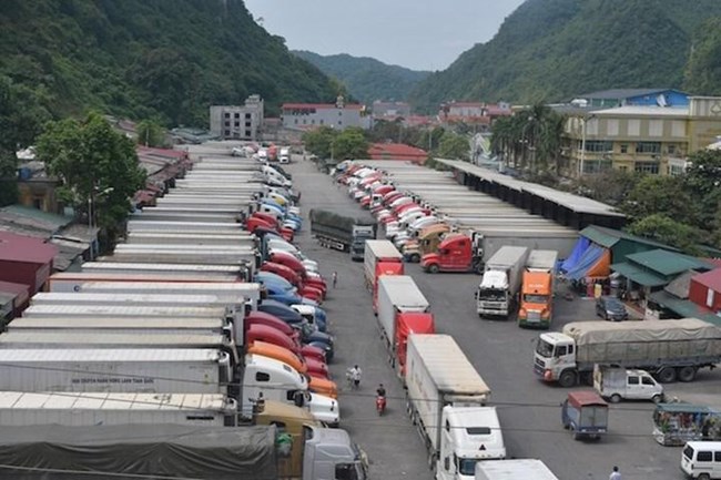 THỜI SỰ 12H TRƯA 16/2/2022: Từ hôm nay Lạng Sơn tạm dừng tiếp nhận xe chở hoa quả lên cửa khẩu biên giới trong 10 ngày 