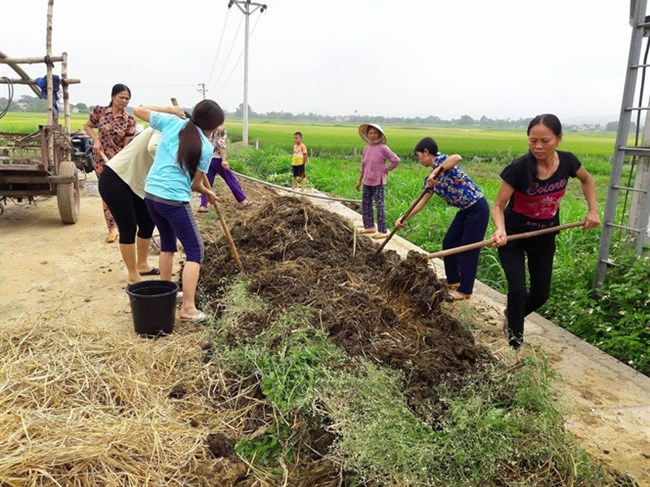 Khuyến khích đa dạng hoá sử dụng phân bón khi giá tăng cao (18/03/2022)