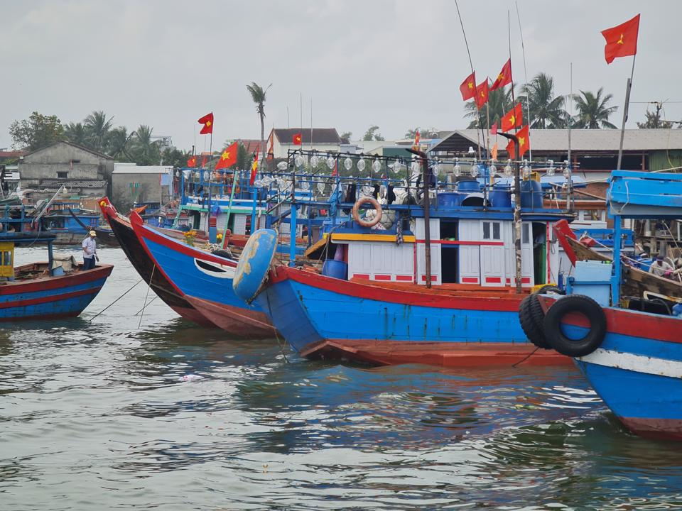 THỜI SỰ 21H30 ĐÊM 31/03/2022: Hơn 700 tàu cá của tỉnh Quảng Ngãi tránh trú an toàn