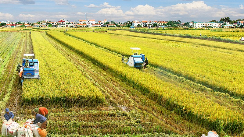 Ngành nông nghiệp vẫn khó thu hút đầu tư (19/04/2022)