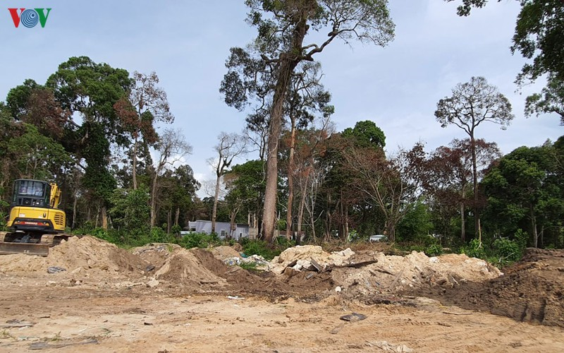 THỜI SỰ 6H SÁNG 25/5/2022: Kiên Giang thành lập tổ công tác đặc biệt để giữ rừng tại Phú Quốc