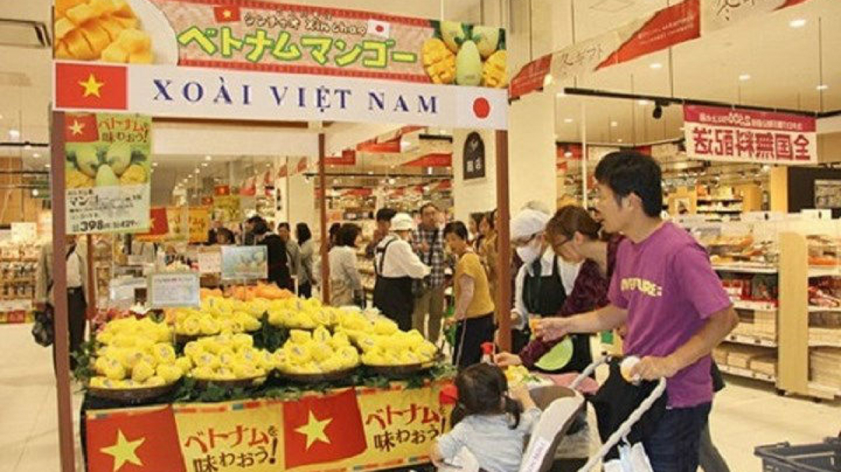 THỜI SỰ 21H30 ĐÊM 05/6/2022: Hoa quả Việt được người Nhật đón nhận nồng nhiệt tại lễ hội Việt Nam ở Nhật Bản 