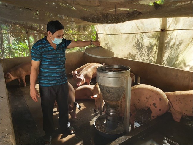 Tiền Giang: Chi phí tăng cao, người chăn nuôi điêu đứng (24/6/2022)