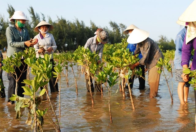 Tự hào 29 năm chiến dịch Mùa hè xanh 