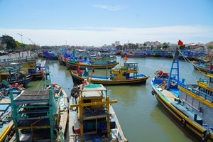 Tiền Giang tàu cá nằm bờ, hải sản khan hàng giá tăng vọt (11/07/2022)