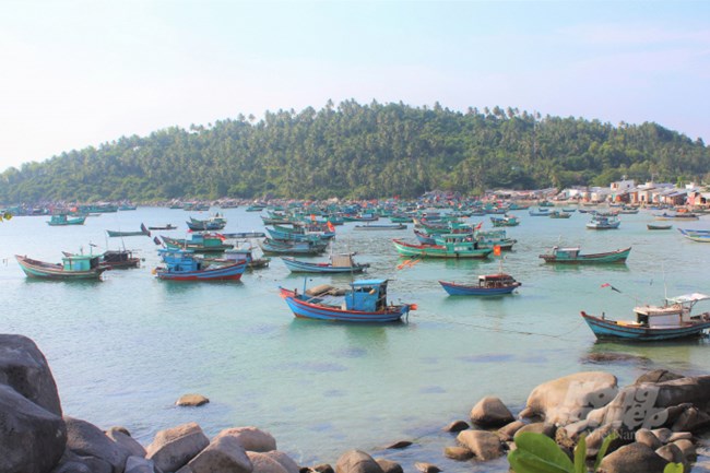 THỜI SỰ 21H30 ĐÊM 19/7/2022: Thủ tướng yêu cầu đẩy nhanh tiến độ dán thẻ định danh cho ô tô để sử dụng dịch vụ thu phí điện tử không dừng từ 1/8