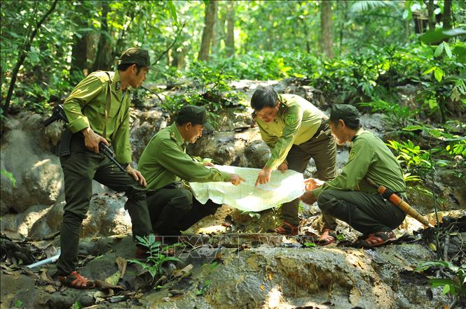 Những người hùng thầm lặng trong rừng quốc gia Cúc Phương (24/7/2022)