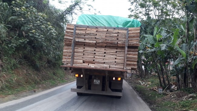 Xử lý xe quá tải trên Quốc lộ 70 Yên Bái: “Cuộc chiến” chưa hồi kết (20/7/2022)