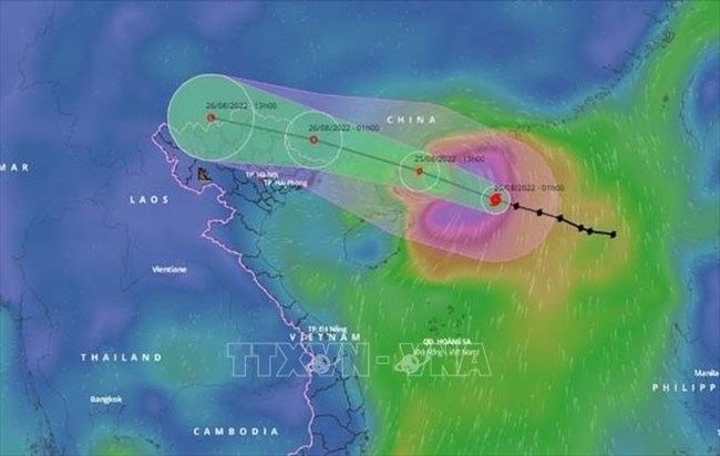 THỜI SỰ 18H CHIỀU 25/8/2022: Hoàn lưu bão số 3 gây ra mưa lớn cho Bắc Bộ và Thanh Hóa