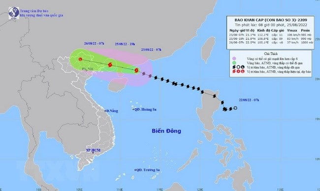 THỜI SỰ 12H TRƯA 25/8/2022: Bão số 3 áp sát đất liền gây mưa lớn, nguy cơ lũ quét, sạt lở đất ở khu vực Bắc Bộ