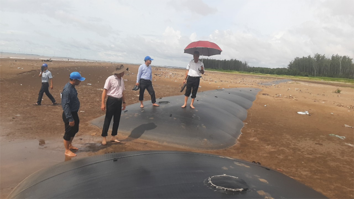 Bến Tre: Kè mềm sóng, tạo bồi bảo vệ bờ biển chi phí thấp, hiệu quả cao (06/9/2022)