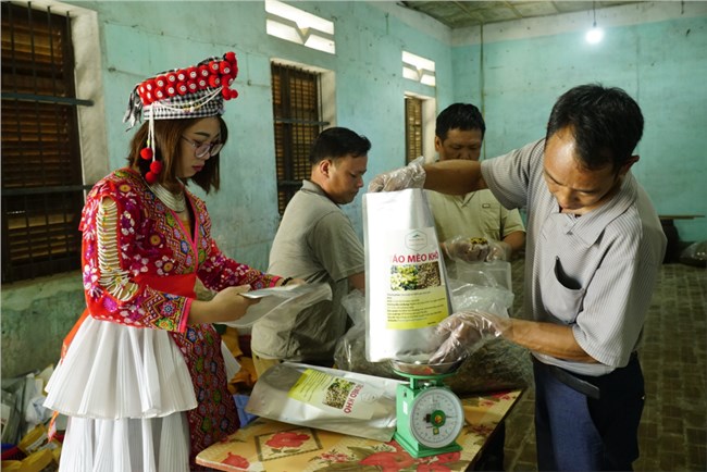 Đa dạng hoá sản phẩm - hướng phát triển bền vững cho cây Sơn tra ở Tuần Giáo (14/9/2022)